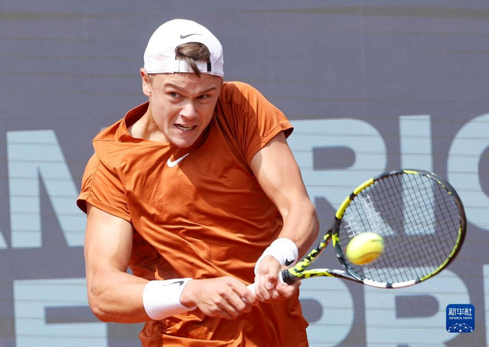 印尼的归化 印尼的归化