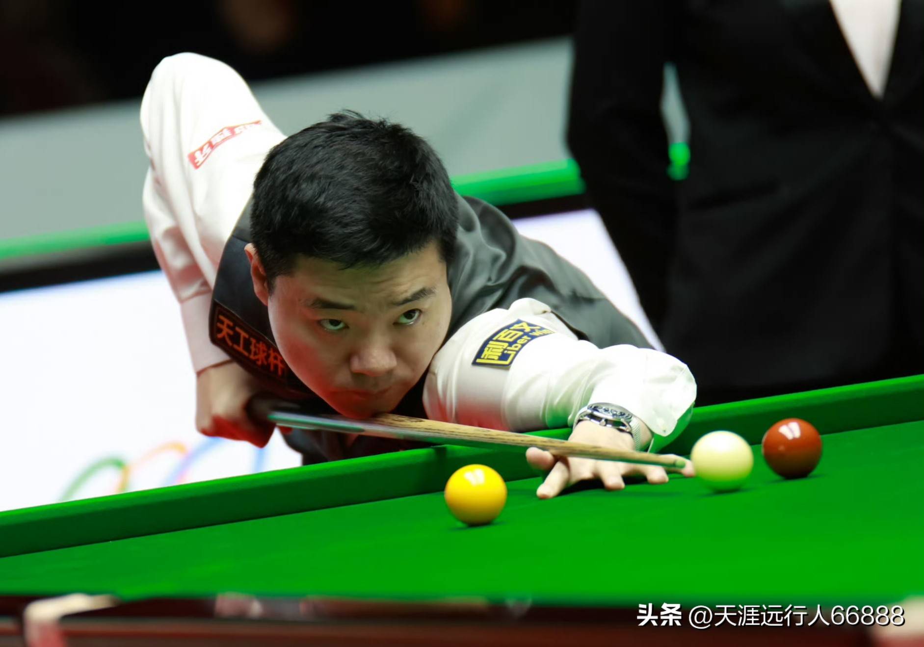 引了无数爱 引了无数爱